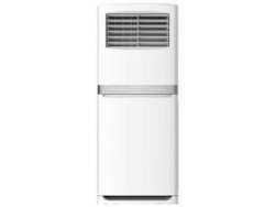 AUX  sütun tipli 60000 BTU